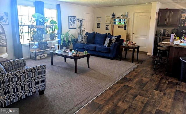 10834 Tidewater Trl, Fredericksburg, VA 22408 - living room featuring dark wood-type flooring and ornamental molding