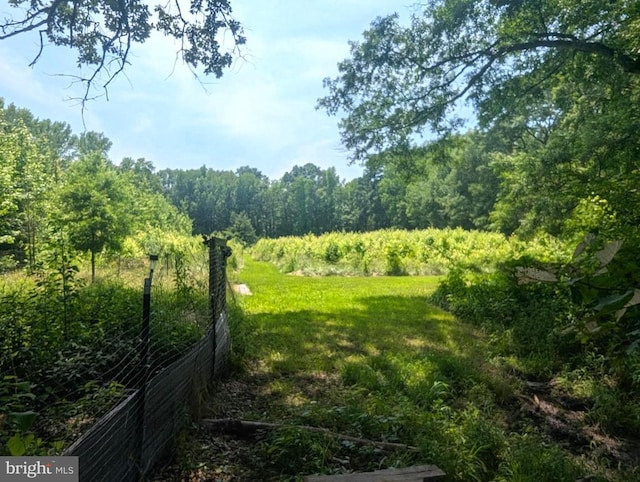 10834 Tidewater Trl, Fredericksburg, VA 22408 - view of yard