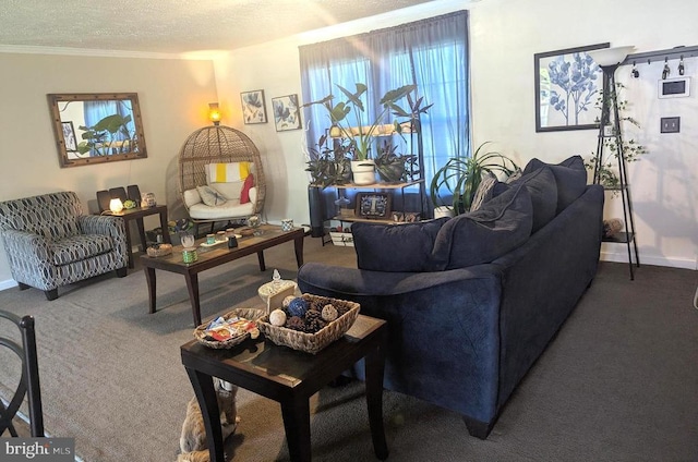 10834 Tidewater Trl, Fredericksburg, VA 22408 - living area featuring carpet, crown molding, and a textured ceiling