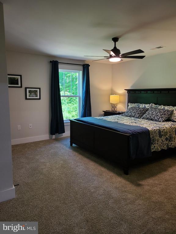 150 Winchester Trl, Mineral, VA 23117 - bedroom with carpet and ceiling fan