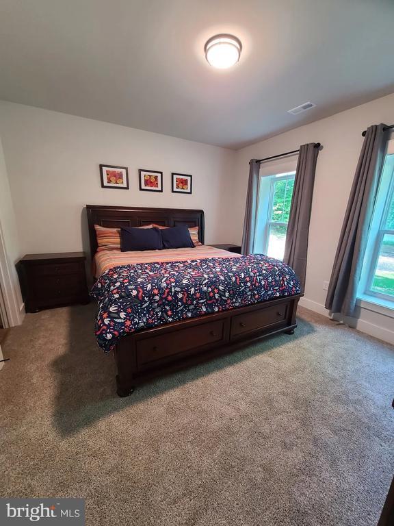 150 Winchester Trl, Mineral, VA 23117 - bedroom with multiple windows and carpet