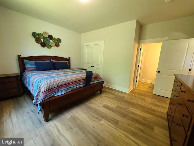 150 Winchester Trl, Mineral, VA 23117 - bedroom with light wood-style flooring and a closet