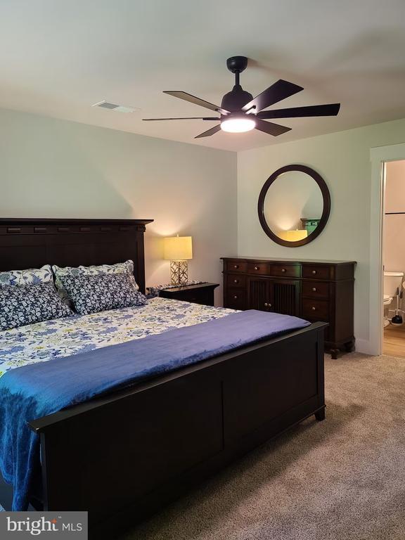 150 Winchester Trl, Mineral, VA 23117 - bedroom with light colored carpet, a ceiling fan, and connected bathroom