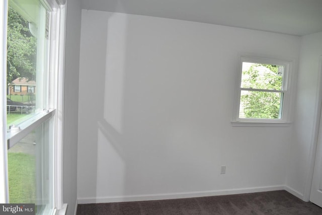 5036 Tara Dr, Fredericksburg, VA 22407 - photo 26