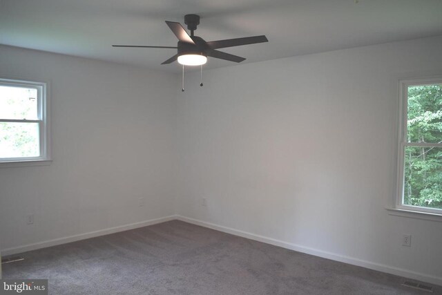 5036 Tara Dr, Fredericksburg, VA 22407 - photo 15