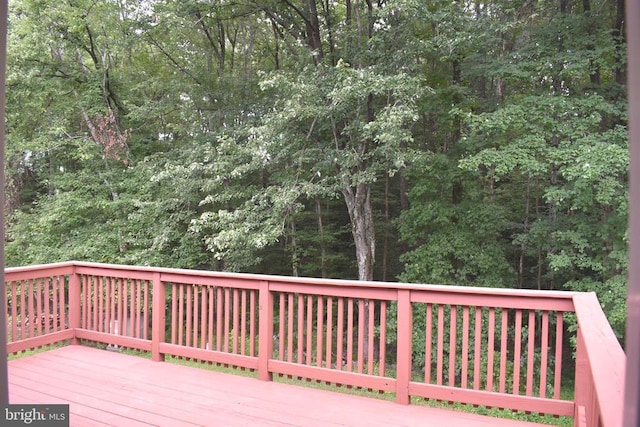 5036 Tara Dr, Fredericksburg, VA 22407 - photo 35