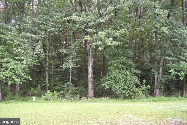 5036 Tara Dr, Fredericksburg, VA 22407 - photo 39