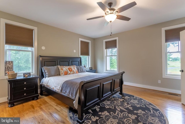 306 Gate Rd, Madison, VA 22727 - photo 21