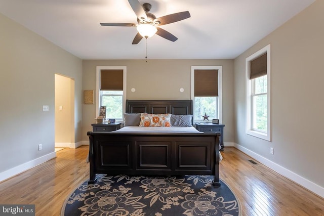 306 Gate Rd, Madison, VA 22727 - photo 20
