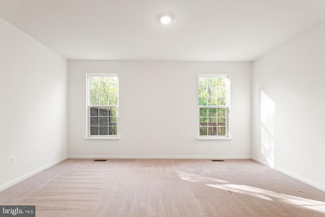  - carpeted spare room with healthy amount of natural light and baseboards