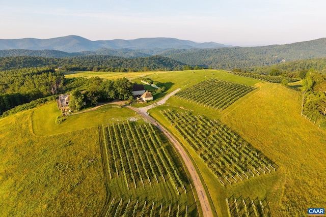 24981 Blue Ridge Pkwy, Vesuvius, VA 24483 - photo 51