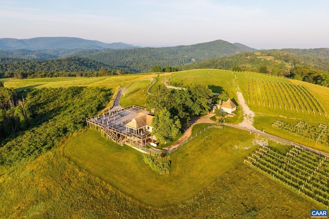 24981 Blue Ridge Pkwy, Vesuvius, VA 24483 - photo 49
