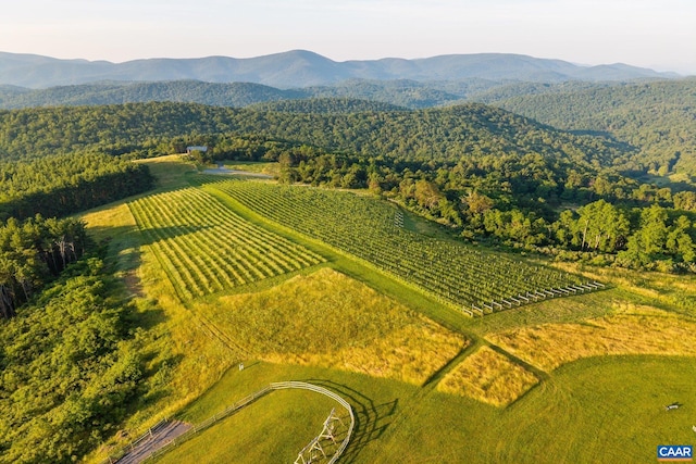 24981 Blue Ridge Pkwy, Vesuvius, VA 24483 - photo 56