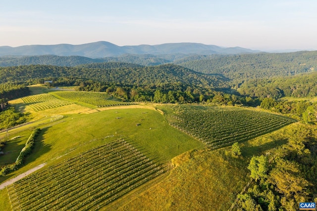 24981 Blue Ridge Pkwy, Vesuvius, VA 24483 - photo 59