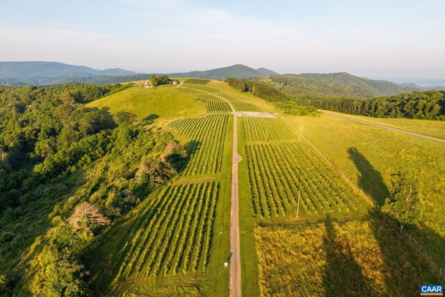 24981 Blue Ridge Pkwy, Vesuvius, VA 24483 - photo 11