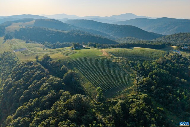 24981 Blue Ridge Pkwy, Vesuvius, VA 24483 - photo 69