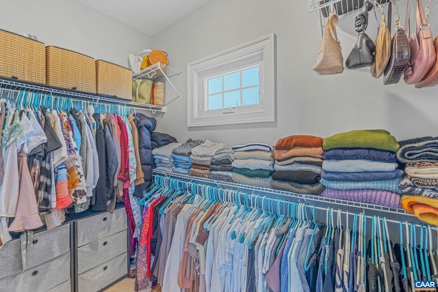 view of walk in closet