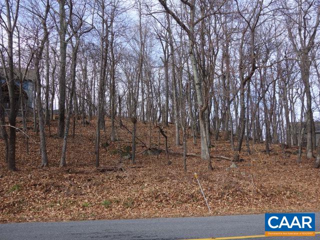 91 Shamokin Springs Trl, Wintergreen, VA 22958 - photo 4