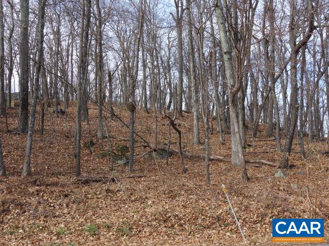 91 Shamokin Springs Trl, Wintergreen, VA 22958 - photo 2