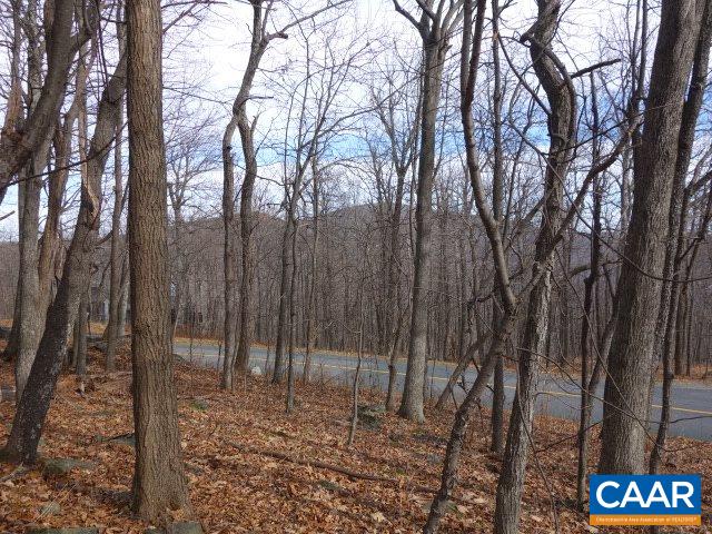 91 Shamokin Springs Trl, Wintergreen, VA 22958 - photo 5