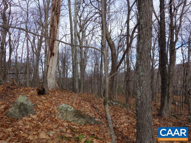 91 Shamokin Springs Trl, Wintergreen, VA 22958 - photo 3