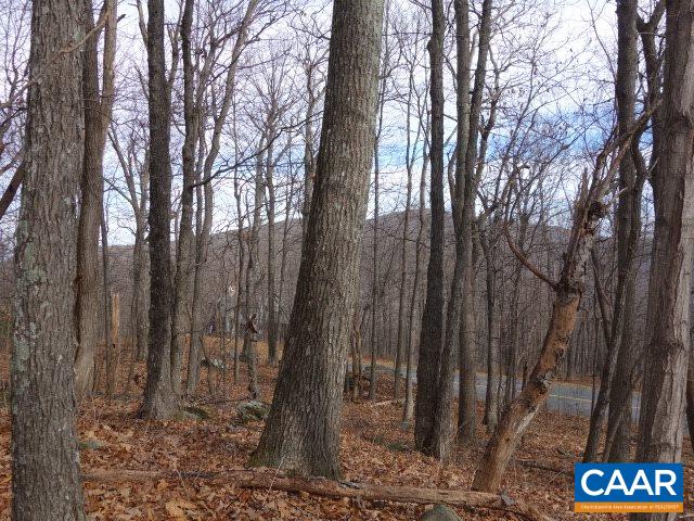 91 Shamokin Springs Trl, Wintergreen, VA 22958 - photo 1