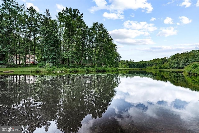 7924 Gold Leaf Cir, Spotsylvania, VA 22551 - water view featuring a forest