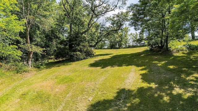 2003 Rinacas Corner Rd, Shenandoah, VA 22849 - view of grassy yard