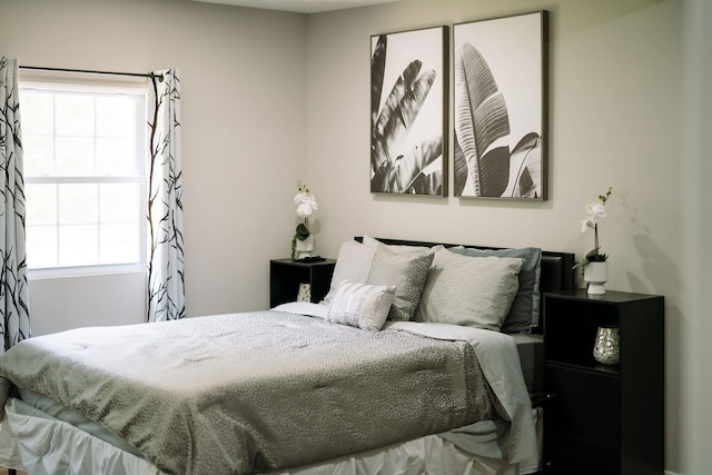 2003 Rinacas Corner Rd, Shenandoah, VA 22849 - view of bedroom