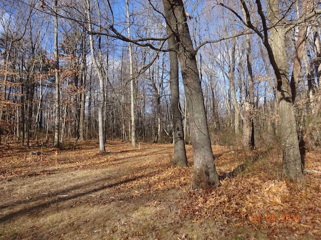 TBD Parkersburg Pike, Swoope, VA 24479