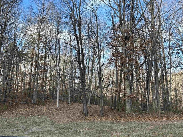 TBD Parkersburg Pike, Swoope, VA 24479