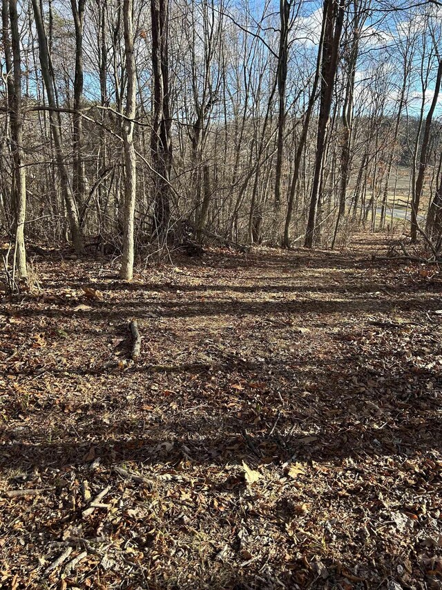 TBD Parkersburg Pike, Swoope, VA 24479