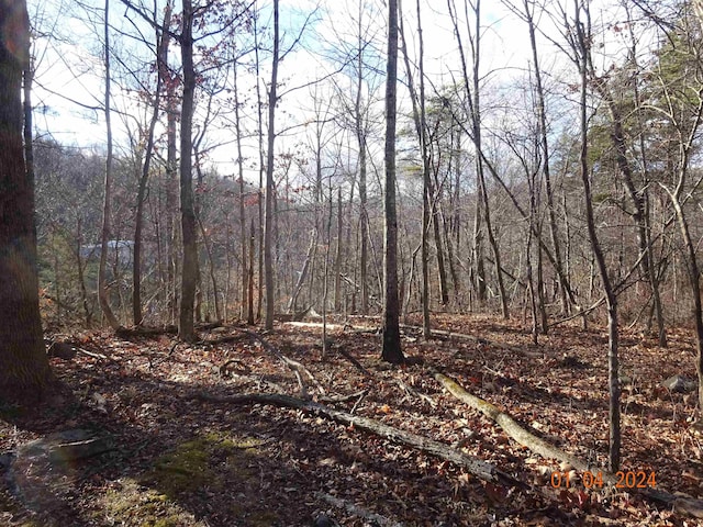 TBD Parkersburg Pike, Swoope, VA 24479