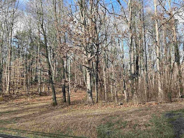 TBD Parkersburg Pike, Swoope, VA 24479