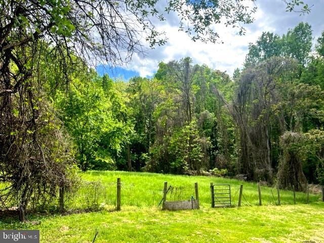 12134 Baylor Ln, Orange, VA 22960 - view of green lawn featuring a wooded view