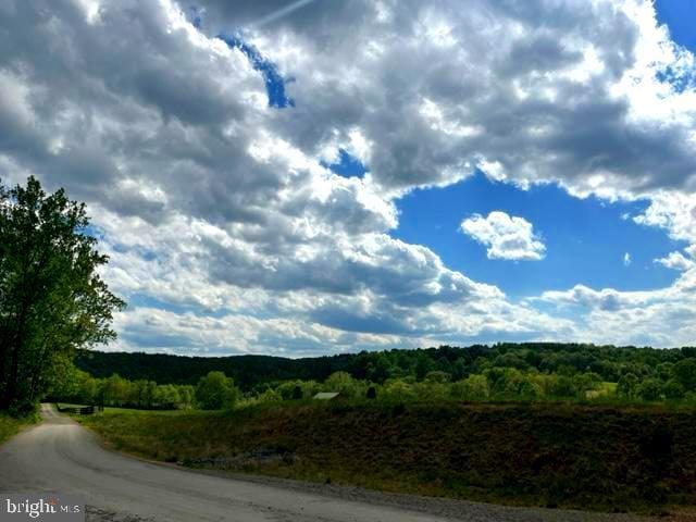 12134 Baylor Ln, Orange, VA 22960 - view of asphalt road with a view of trees