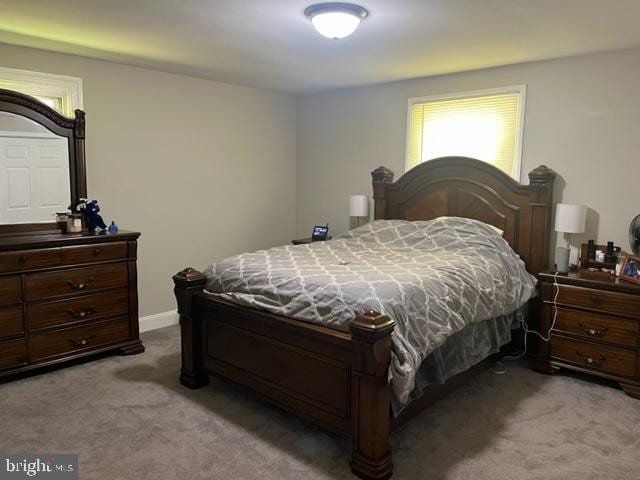 12134 Baylor Ln, Orange, VA 22960 - view of carpeted bedroom