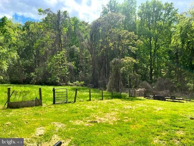 12134 Baylor Ln, Orange, VA 22960 - view of green lawn with a wooded view