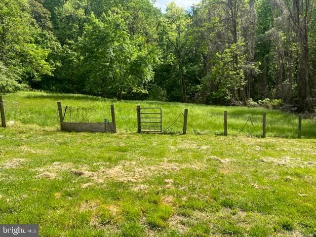 12134 Baylor Ln, Orange, VA 22960 - view of yard featuring a view of trees