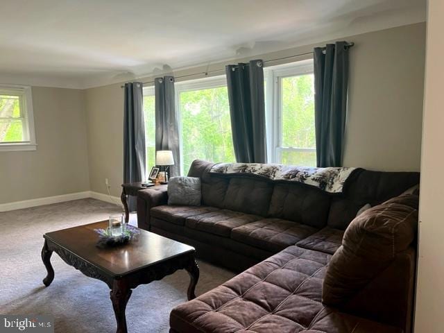 12134 Baylor Ln, Orange, VA 22960 - living area with carpet and baseboards