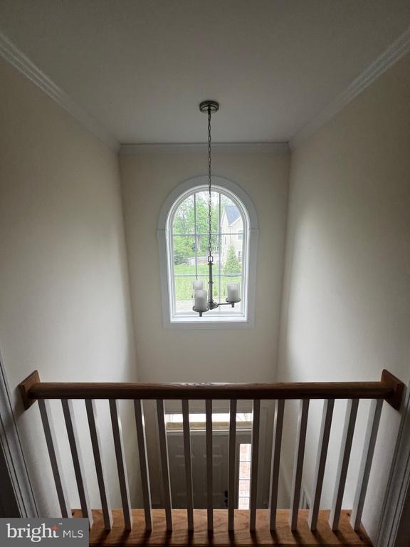stairway featuring a notable chandelier and ornamental molding