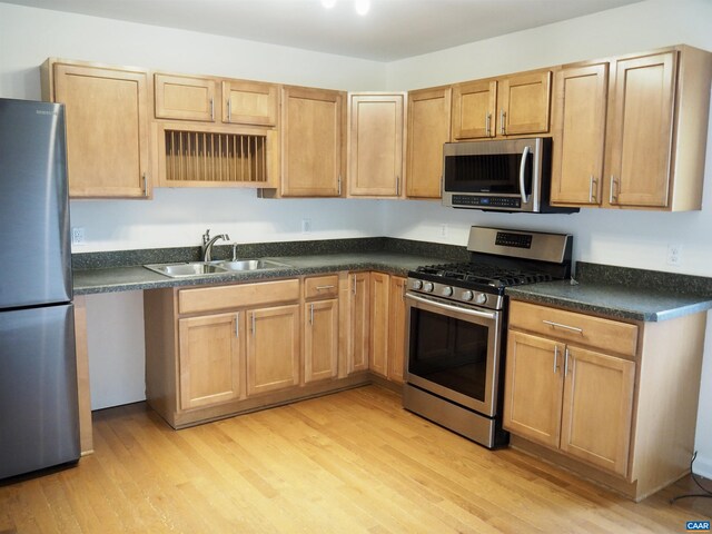 4646 Woods Edge Rd, Troy, VA 22974 - kitchen with appliances with stainless steel finishes, a sink, light wood-type flooring, and dark countertops