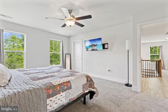 12929 Pipe Run Dr, Fredericksburg, VA 22407 - bedroom with baseboards, carpet floors, and a ceiling fan