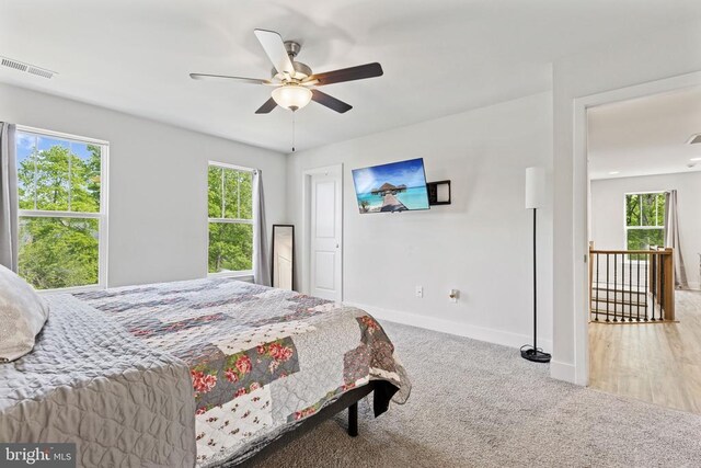12929 Pipe Run Dr, Fredericksburg, VA 22407 - carpeted bedroom with baseboards and ceiling fan