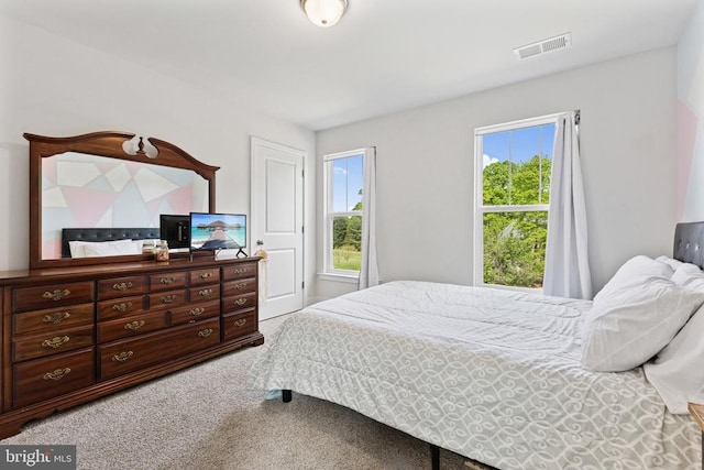 12929 Pipe Run Dr, Fredericksburg, VA 22407 - bedroom with carpet flooring