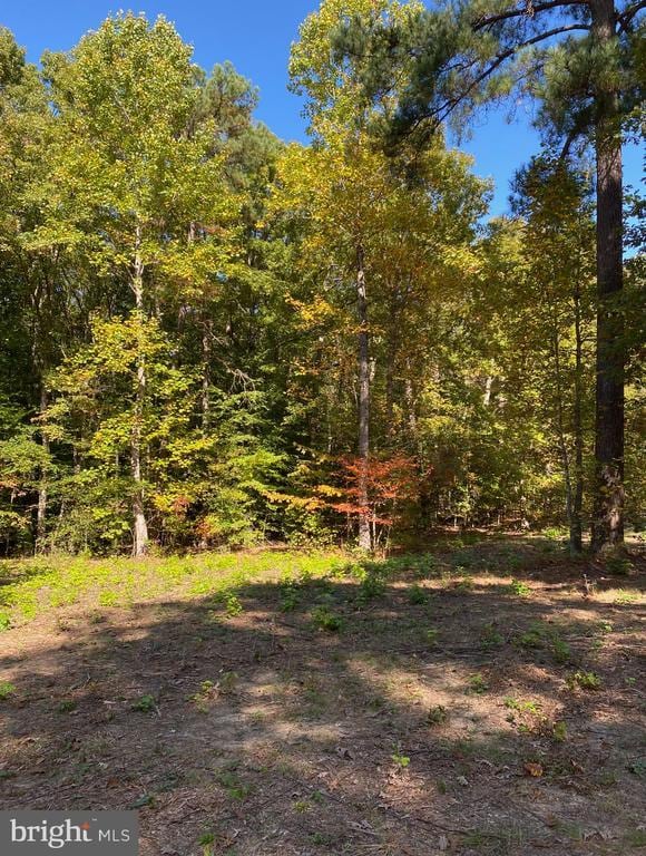 1301 Eastham Rd, Bumpass, VA 23024