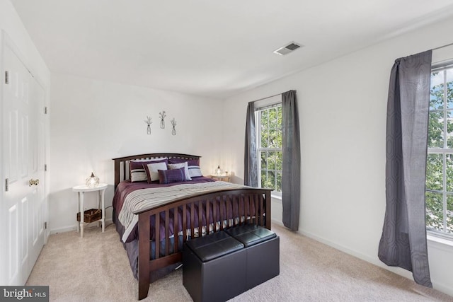 12314 Osprey Ln, Culpeper, VA 22701 - bedroom featuring carpet floors