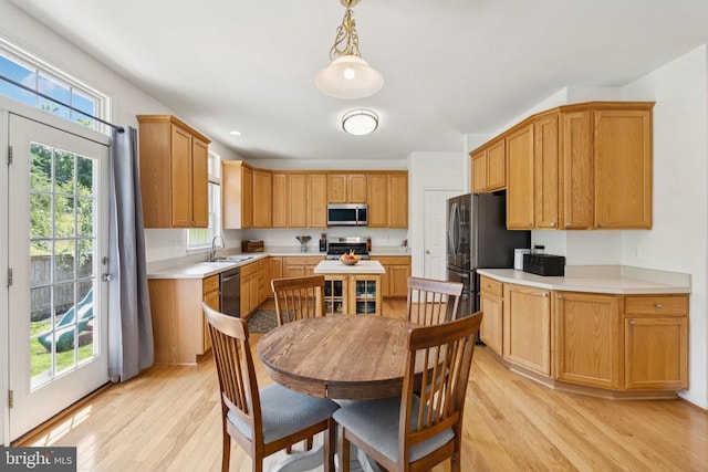 12314 Osprey Ln, Culpeper, VA 22701 - kitchen with stainless steel appliances, light wood-style floors, plenty of natural light, and light countertops