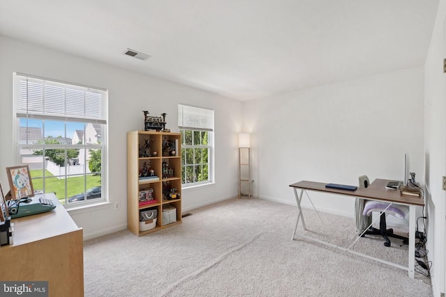 12314 Osprey Ln, Culpeper, VA 22701 - home office featuring healthy amount of natural light and carpet flooring