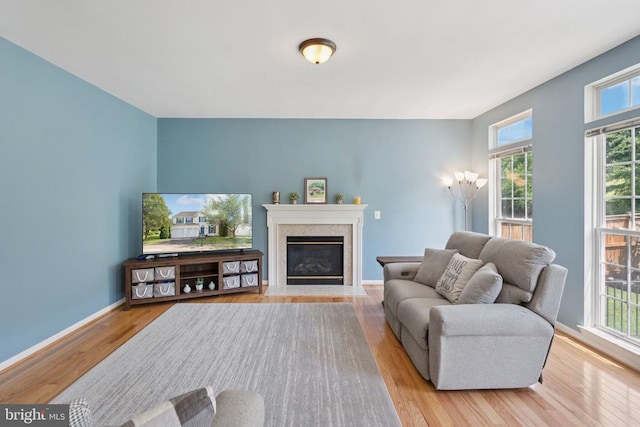 12314 Osprey Ln, Culpeper, VA 22701 - living area with plenty of natural light, wood finished floors, and a fireplace with flush hearth